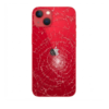 Back Glass Replacement