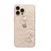 Back Glass Replacement