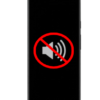 Speaker Issue