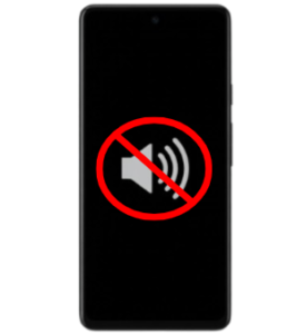 Speaker Issue