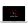 Speaker Issue
