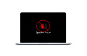 Speaker Issue