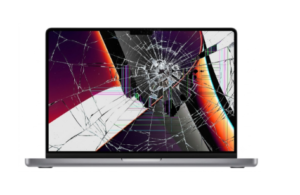 Screen Issue