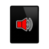 Speaker Issue