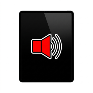 Speaker Issue