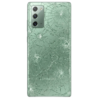 Back Glass Replacement