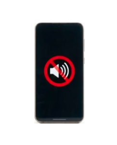 Speaker Issue