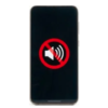 Speaker Issue