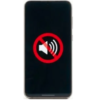 Speaker Issue