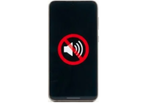 Speaker Issue