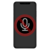 Mic Issue