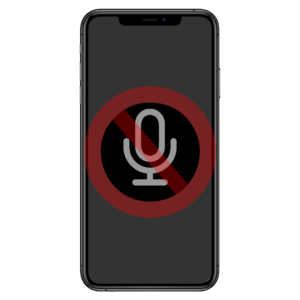 Mic Issue